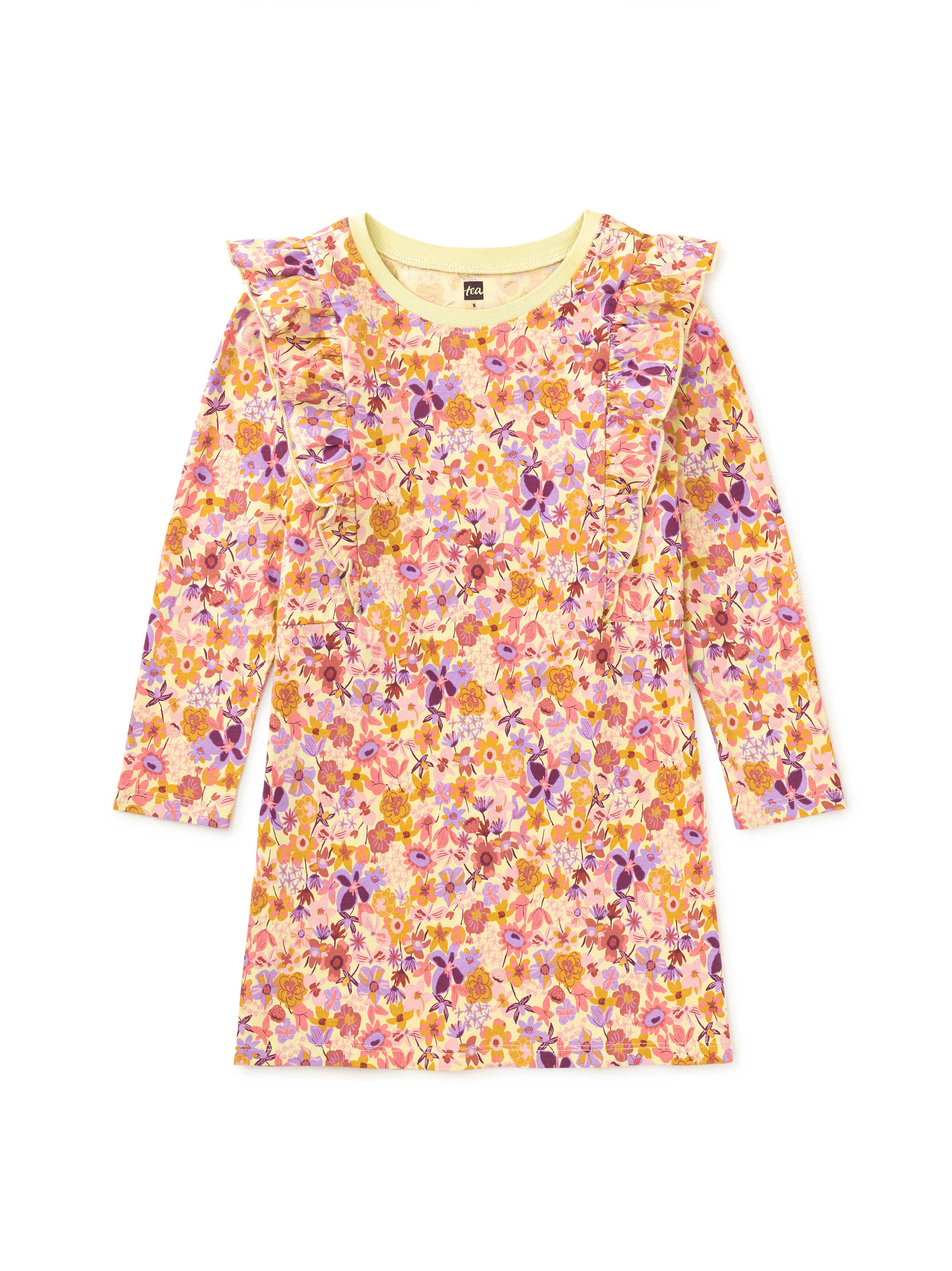 Ruffle Sleeve A-Line Dress