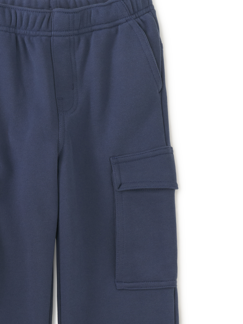 Wide Leg Cargo Pants in Triumph - View 2