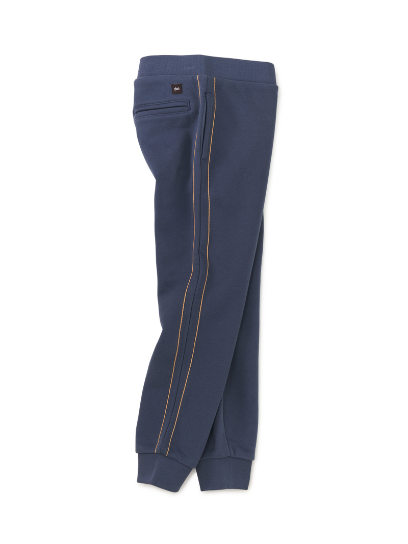 Side Stitch Joggers in Triumph - View 1