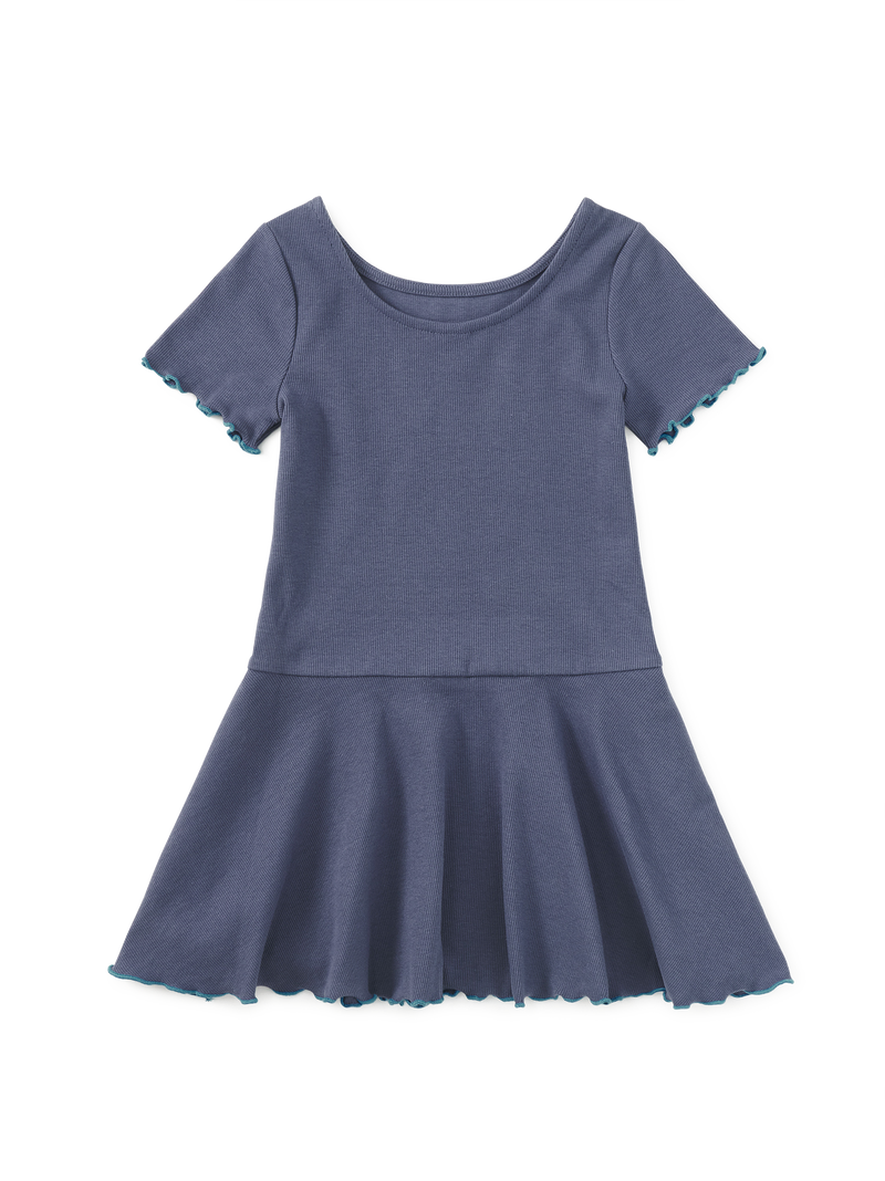Ruffle Skater Ribbed Dress in Triumph - View 2