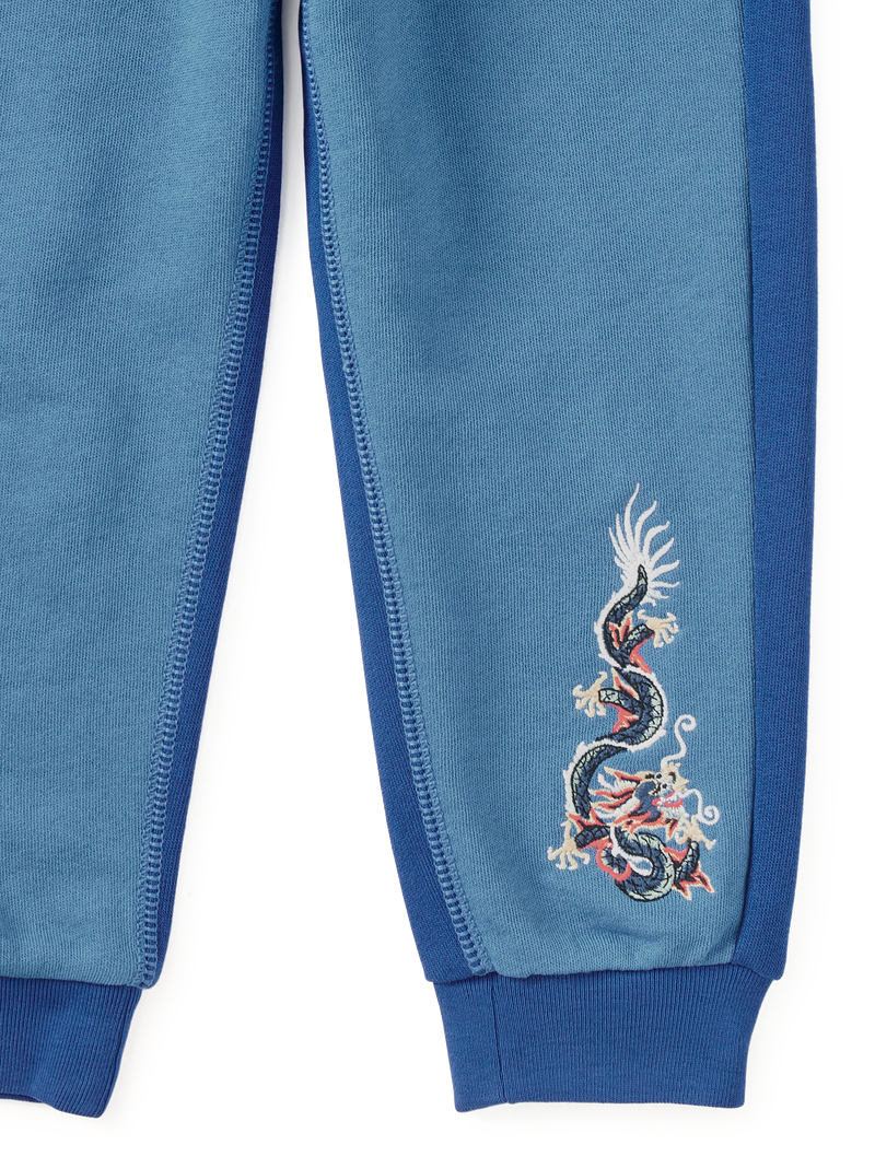 Colorblock Dragon Joggers in Galactic Blue - View 2