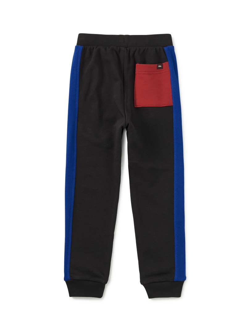 Colorblock Stripe-Out Joggers in Jet Black - View 2