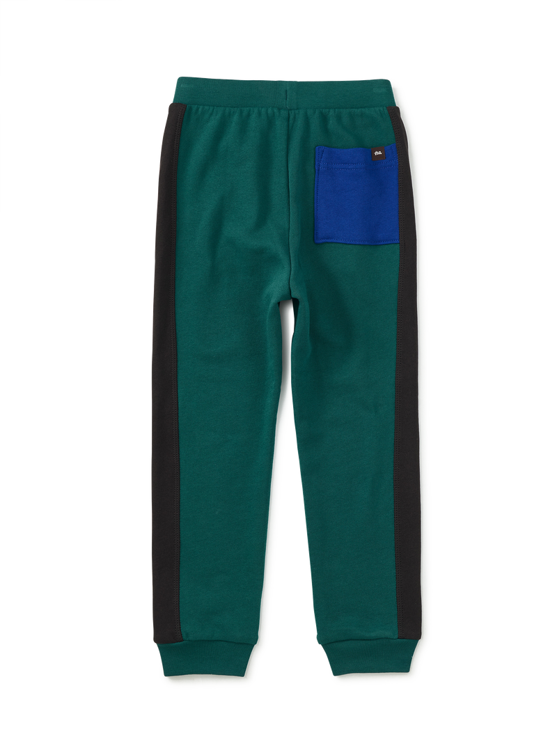 Colorblock Stripe-Out Joggers in Jade - View 2