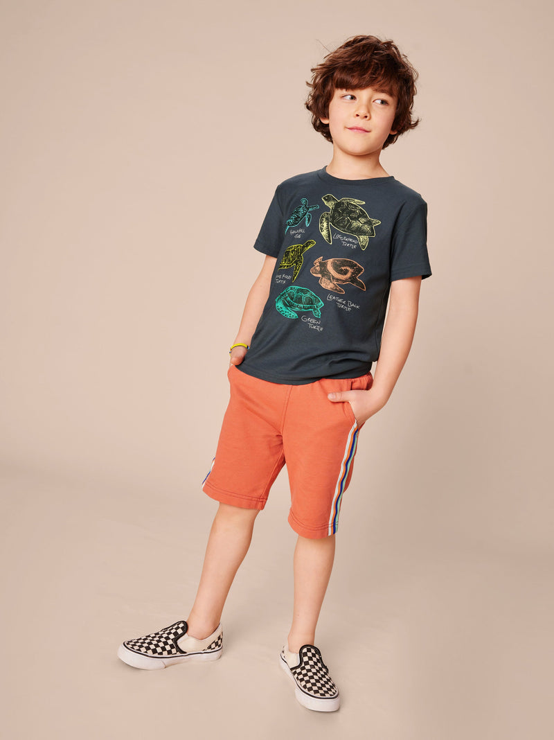 Turtle Discovery Graphic Tee in Indigo - View 2