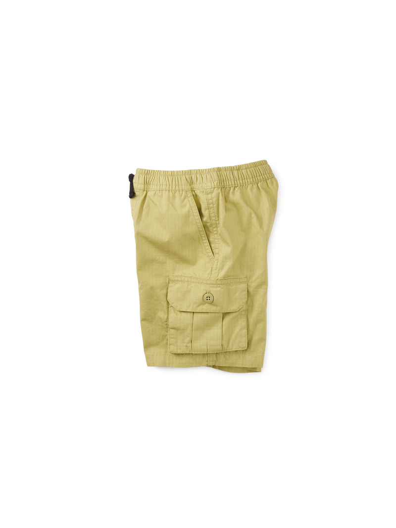 Ripstop Cargo Shorts in Aloe - View 2