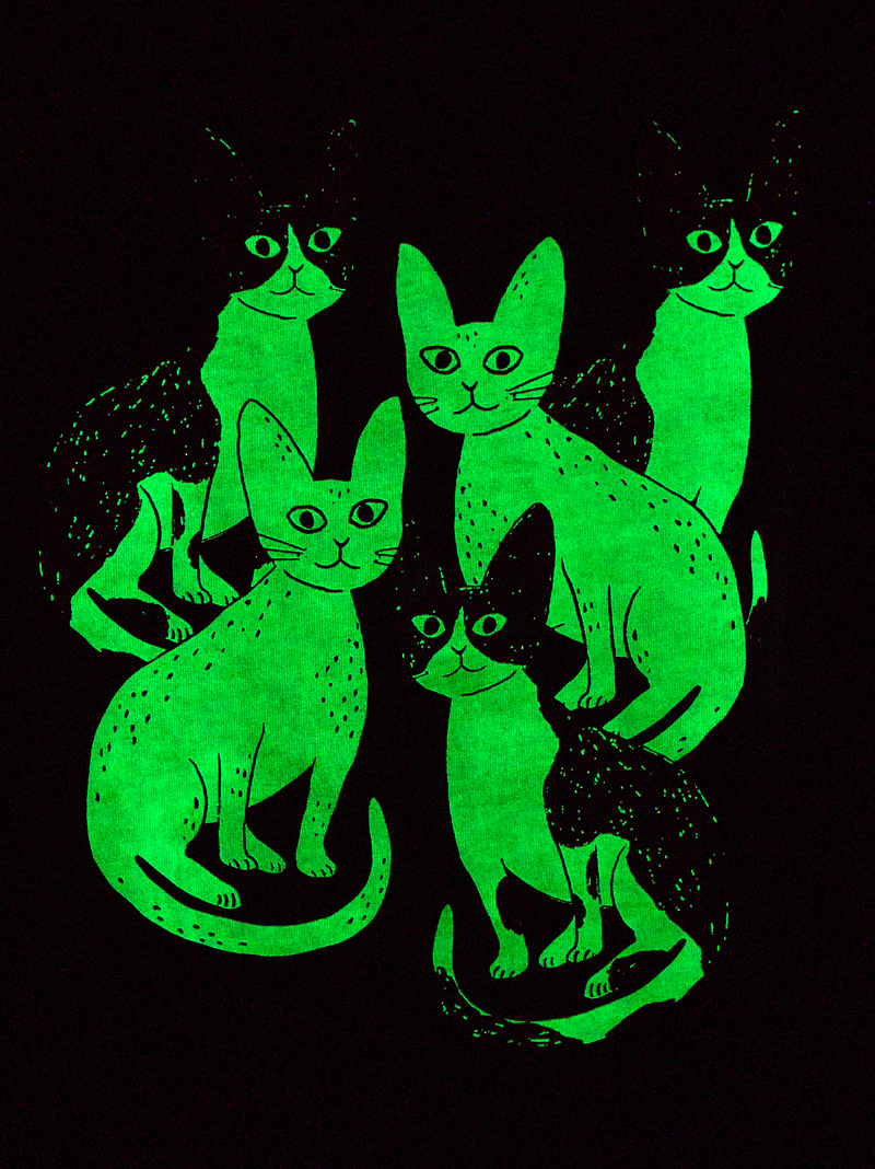 Glowing Cats Double-Sided Tee in Jet Black - View 2