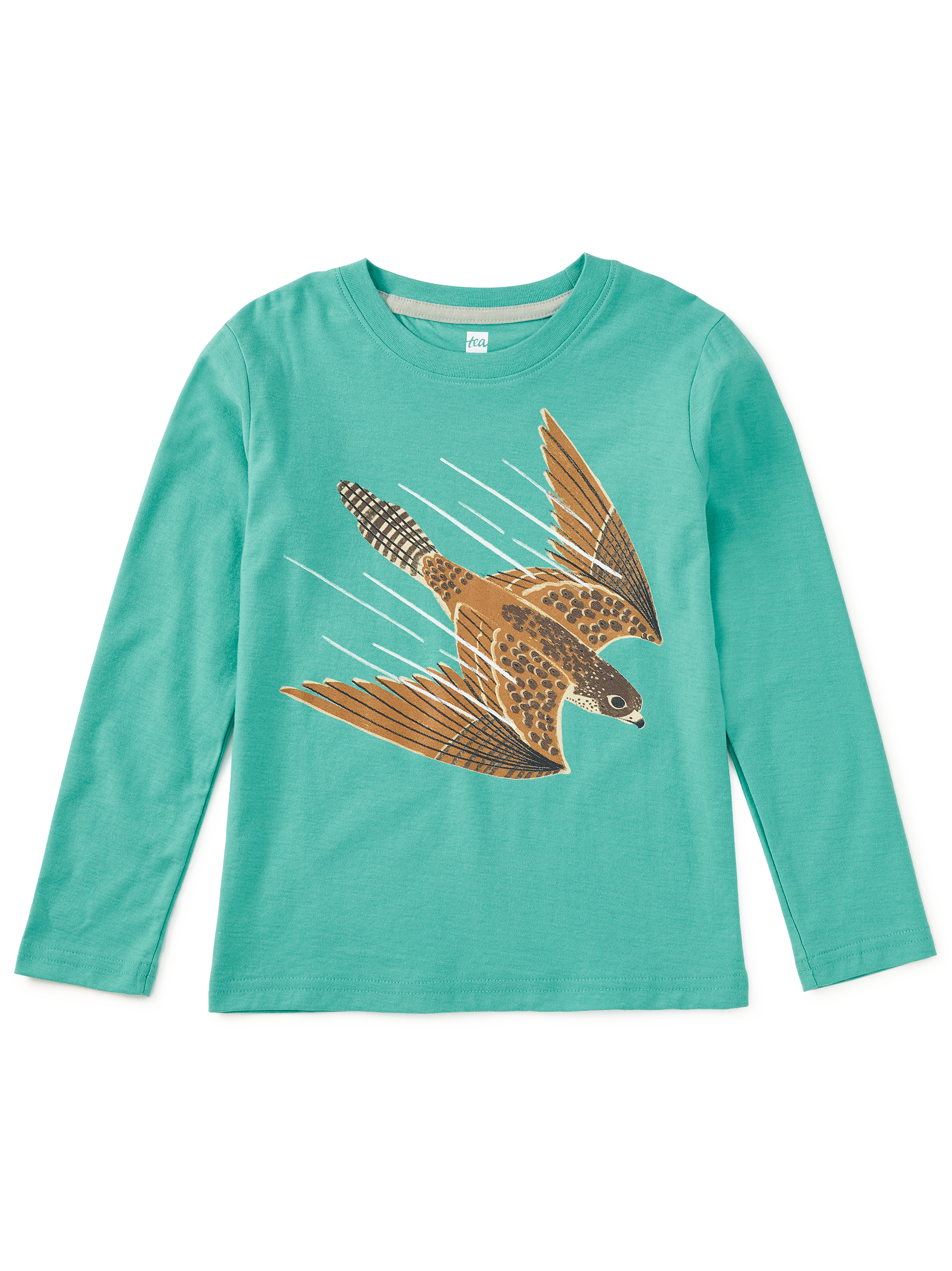 Peregrine Falcon Graphic Tee