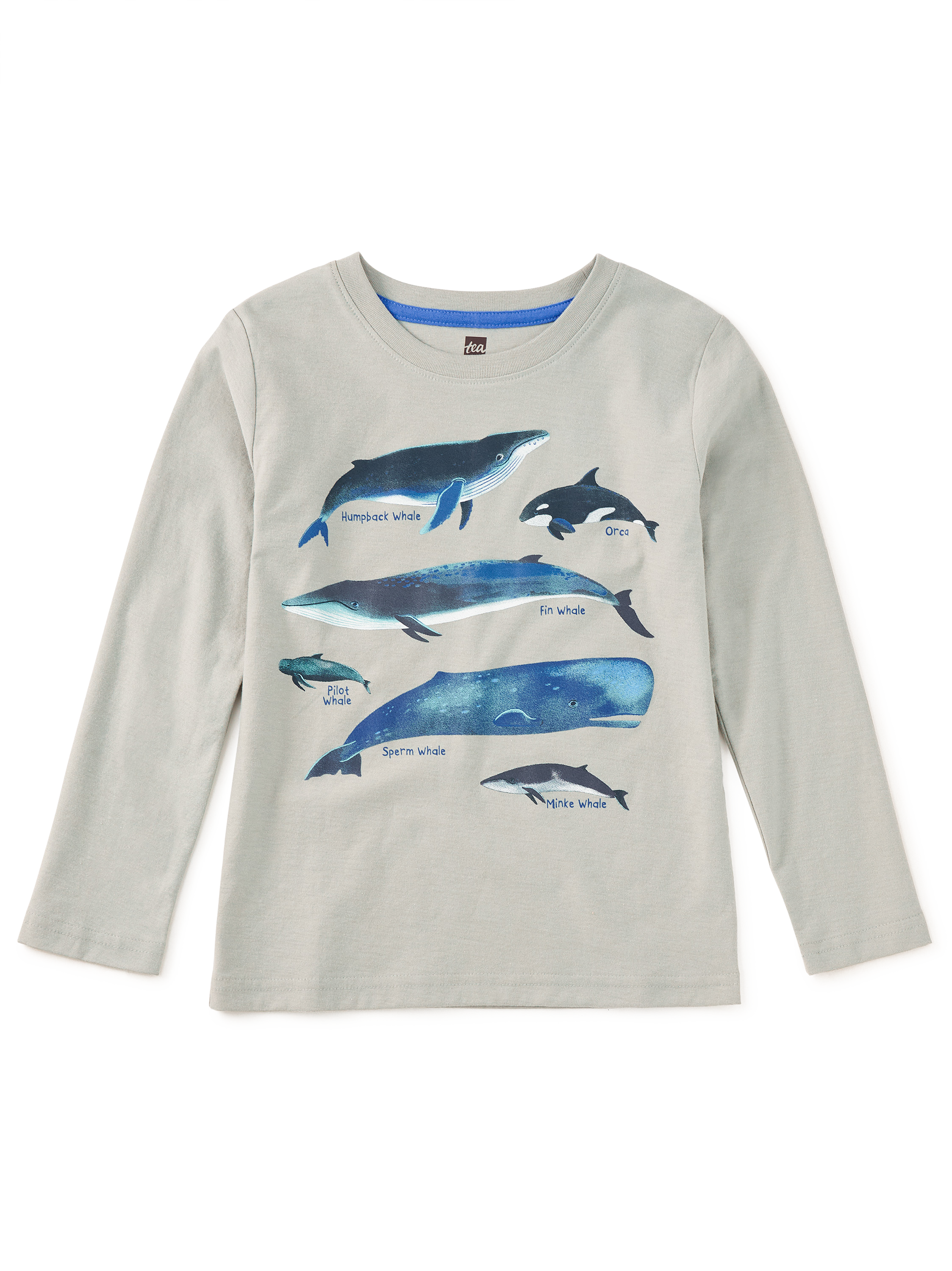 Whale Discovery Graphic Tee