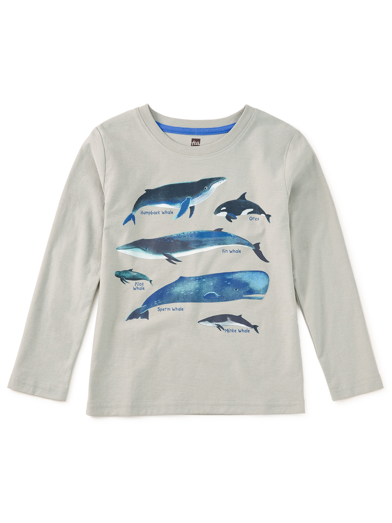 Whale Discovery Graphic Tee in Mica - View 1