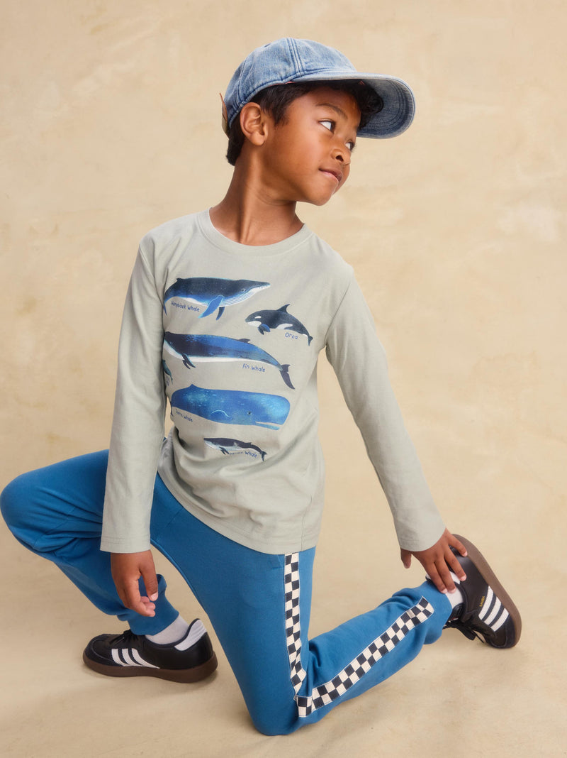 Whale Discovery Graphic Tee in Mica - View 2