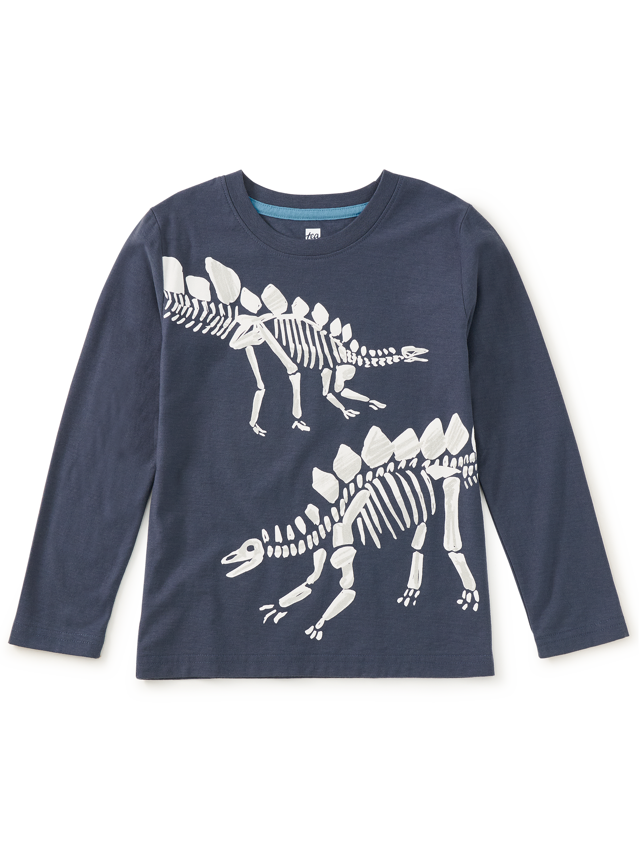 Fossil Stegosaurus Graphic Tee