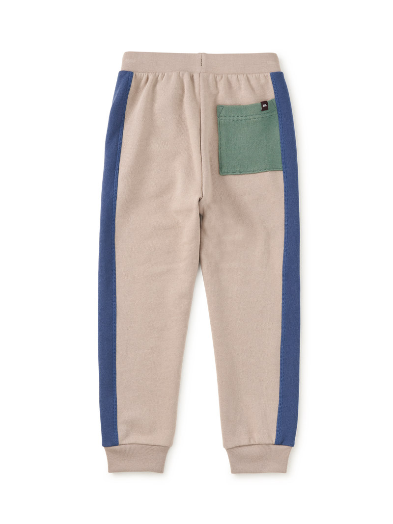 Colorblock Stripe-Out Joggers in Mist - View 2