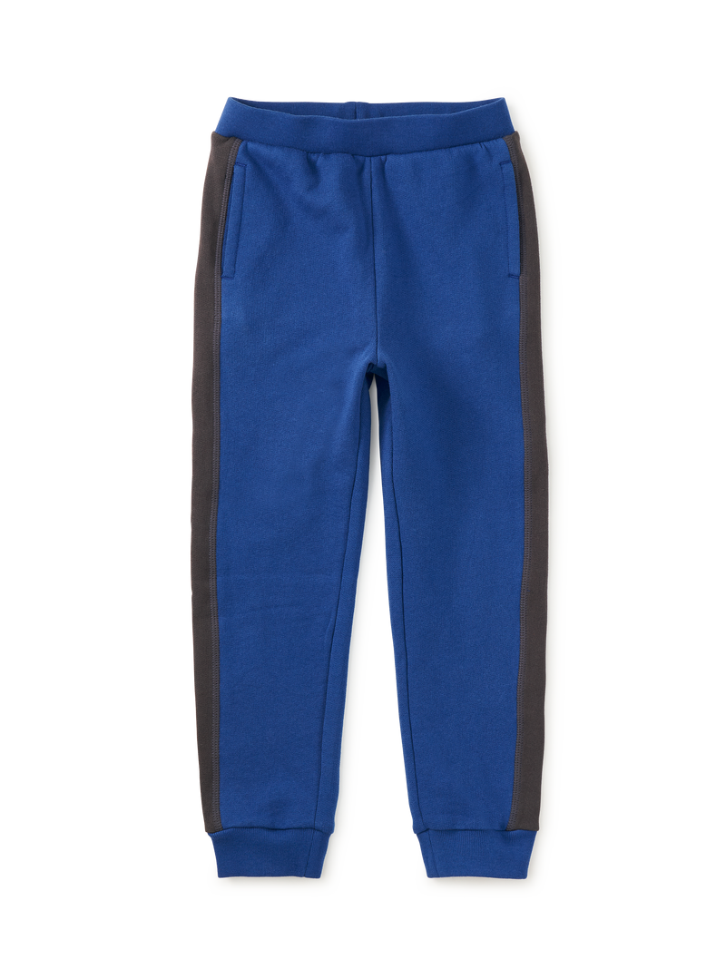 Colorblock Stripe-Out Joggers in Royal - View 1