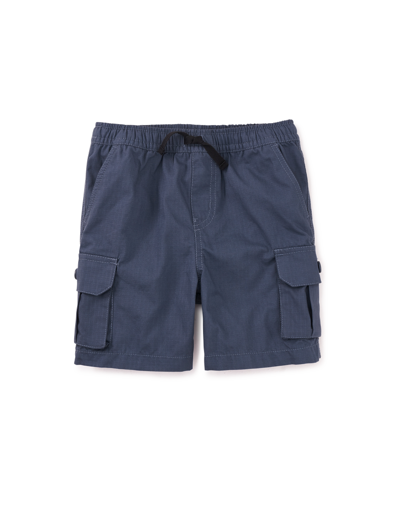 Ripstop Cargo Shorts in Triumph - View 1
