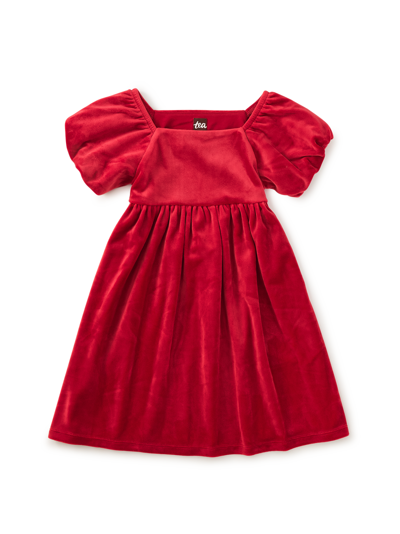 Puff Shoulder Velour Dress in Red Wagon - View 1