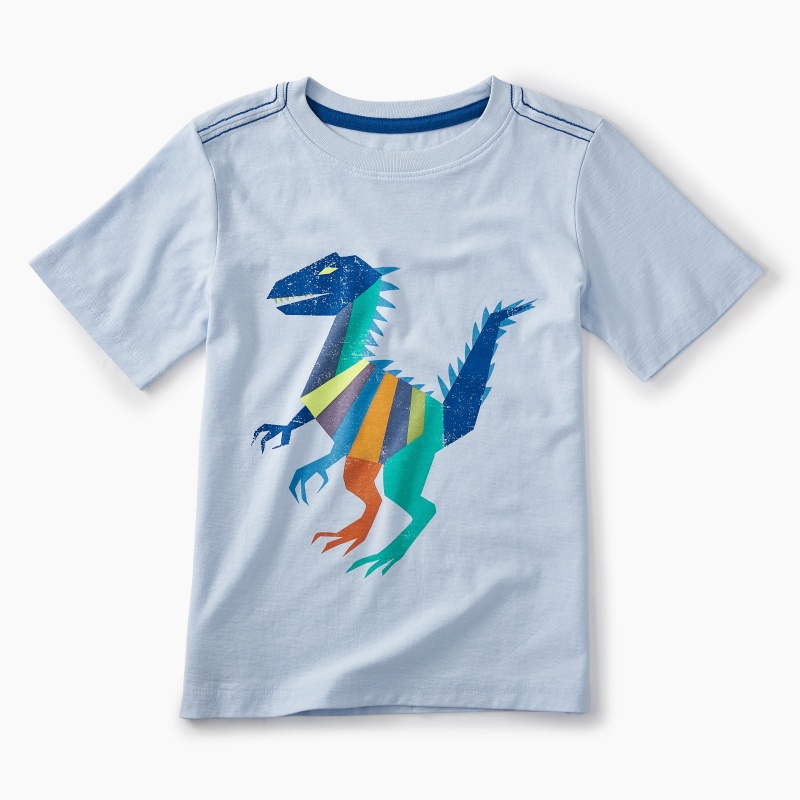 Dinosaur Graphic Tee